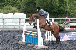 Class 7 - Fences 3' to 3'3